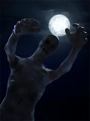 仙人下凡双男主小说