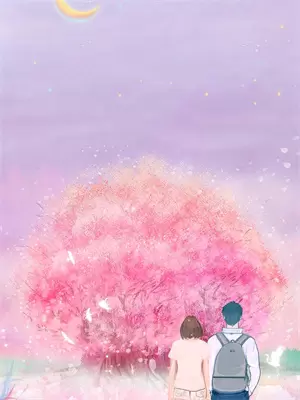 晚星不再等风来剧情