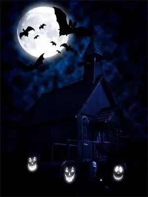 美女杀手爱奇艺